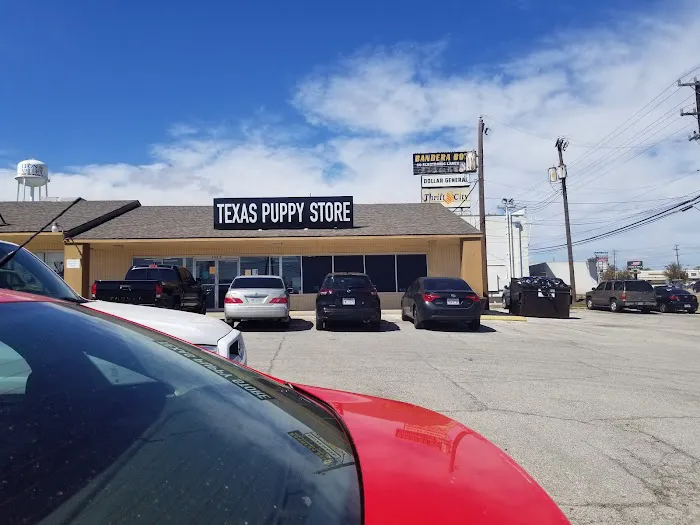 texas puppy store Picture 1