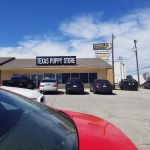 texas puppy store