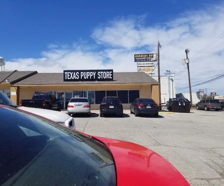 texas puppy store