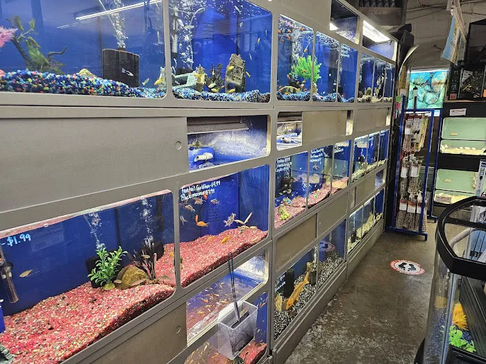 Southside Aquatics Picture 5