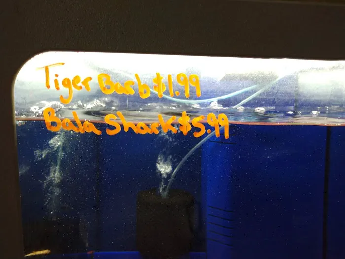 Southside Aquatics Picture 8