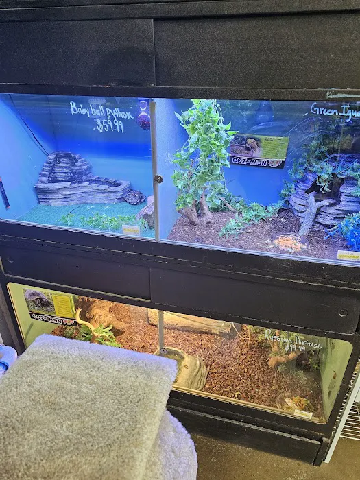 Southside Aquatics Picture 9