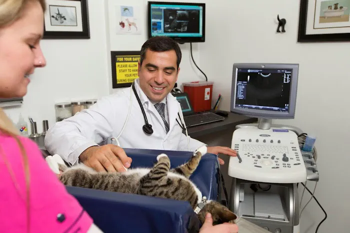 Englewood Veterinary Center Picture 10