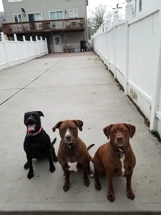 Englewood Veterinary Center Picture 8