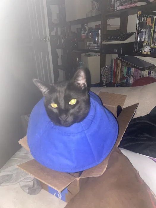 Englewood Veterinary Center Picture 7