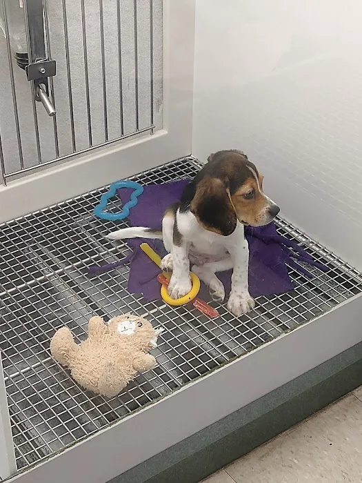 Petland Leon Valley Picture 9