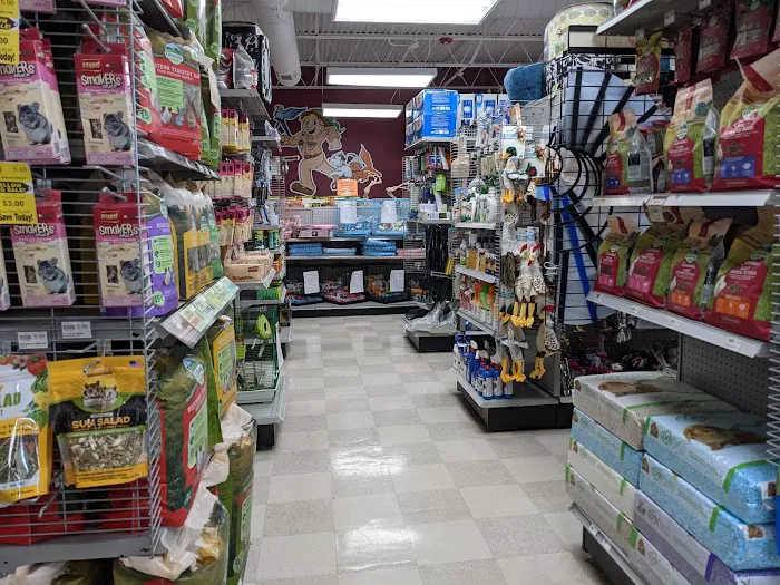 Petland Leon Valley Picture 7