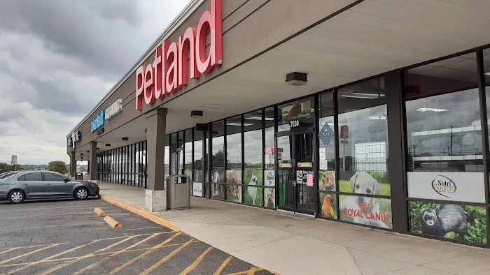 Petland Leon Valley Picture 1