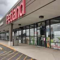 Petland Leon Valley ico