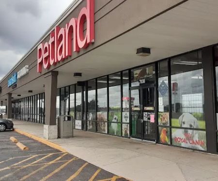 Petland Leon Valley