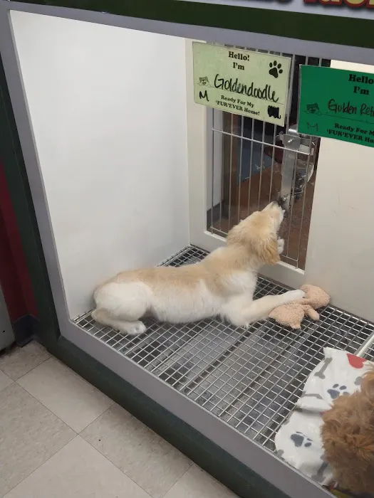 Petland Leon Valley Picture 4