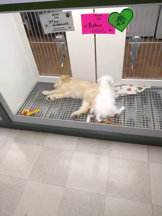 Petland Leon Valley Picture 3