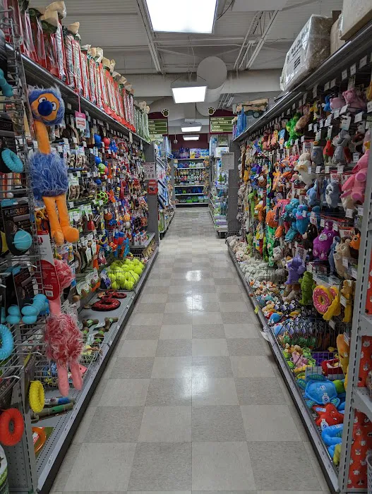 Petland Leon Valley Picture 6