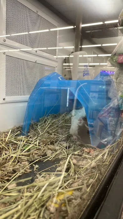 Petco Picture 5