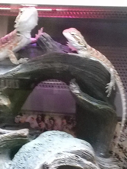 Petco Picture 8