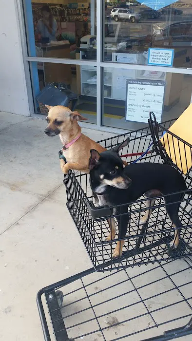 Petco Picture 7