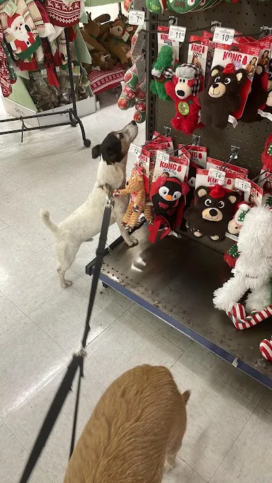 Petco Picture 4