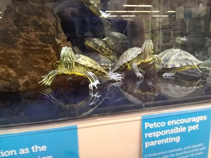 Petco Picture 10