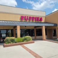 Puppyland San Antonio ico