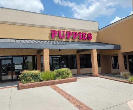 Puppyland San Antonio