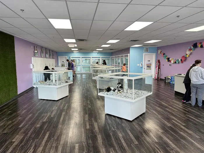 Puppyland San Antonio Picture 2