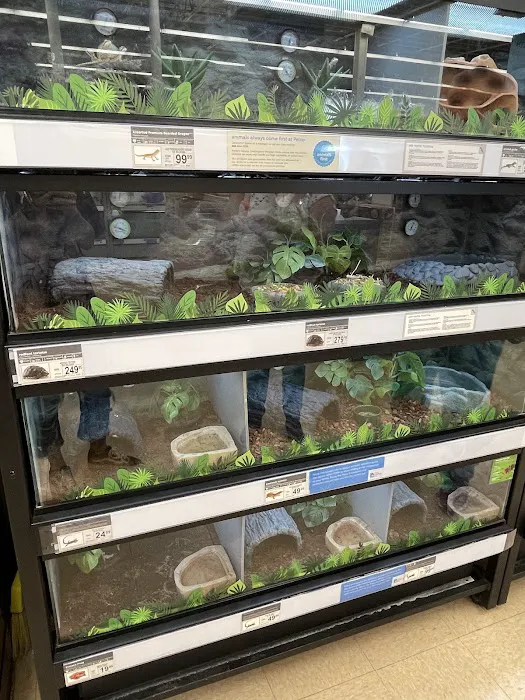 Petco Picture 5