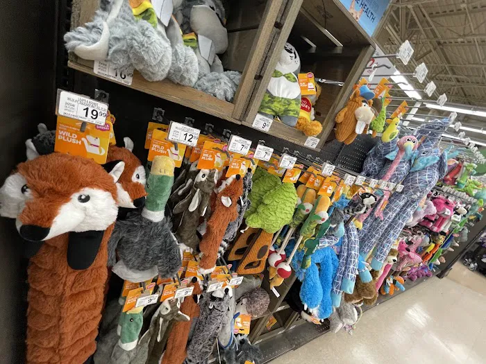 Petco Picture 4