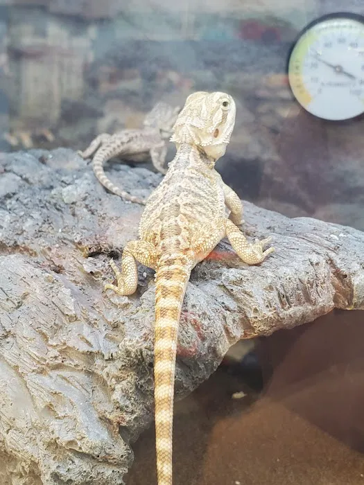 Petco Picture 7