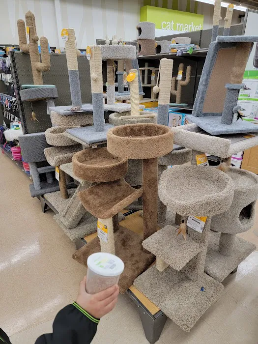 Petco Picture 9