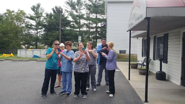 South Paw Animal Hospital Picture 8