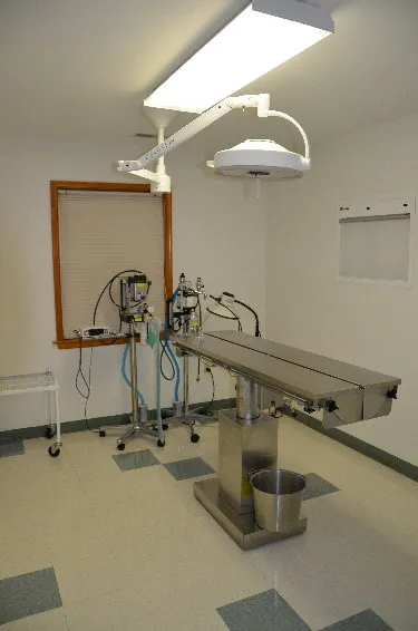 South Paw Animal Hospital Picture 5