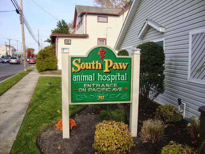 South Paw Animal Hospital Picture 9