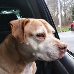 Parkway Veterinary Hospital