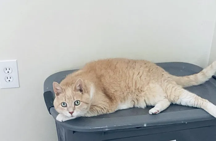 Parkway Veterinary Hospital Picture 7
