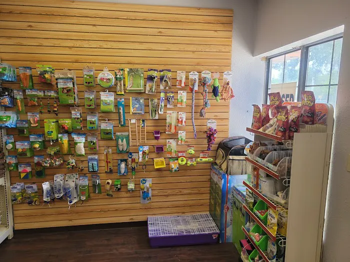 Sherwood Forest Feeders Picture 7