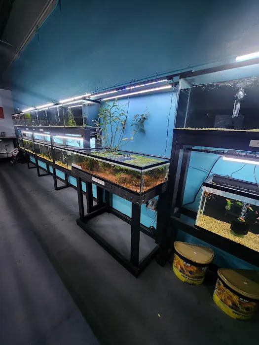 Lone Star Aquariums Picture 1