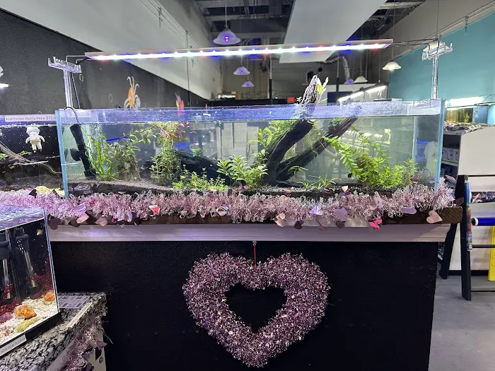Lone Star Aquariums Picture 6