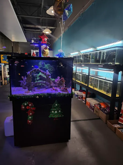 Lone Star Aquariums Picture 9