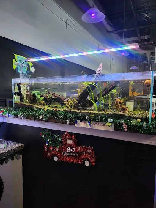 Lone Star Aquariums Picture 10
