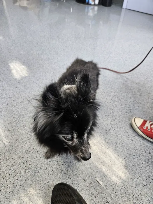 Bergenline Animal Hospital PA Picture 5