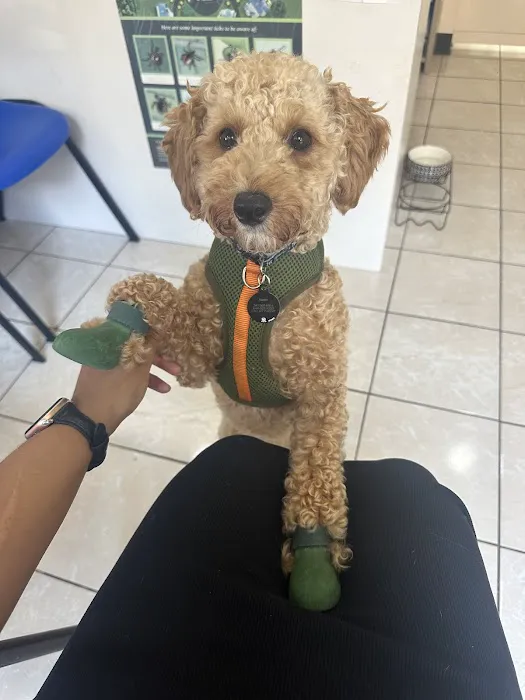 Westside Animal Hospital Picture 10