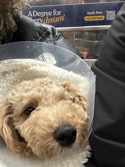 Westside Animal Hospital Picture 2