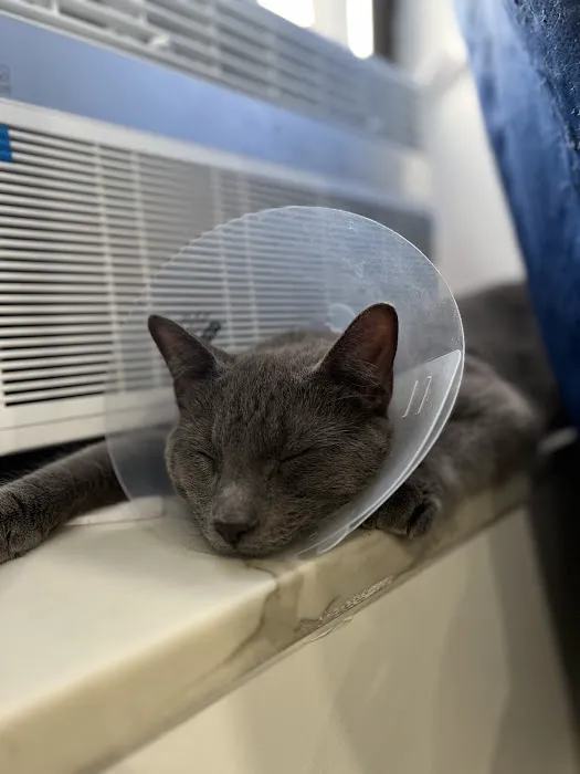 Westside Animal Hospital Picture 5