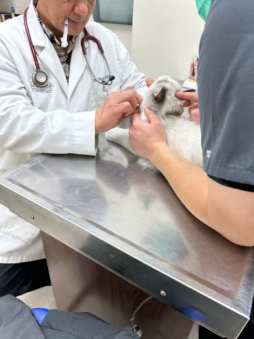 Westside Animal Hospital Picture 7