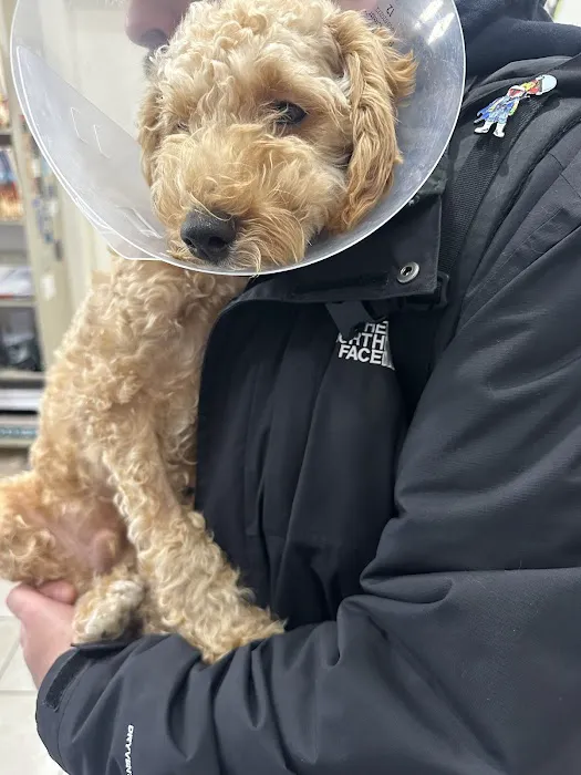 Westside Animal Hospital Picture 6