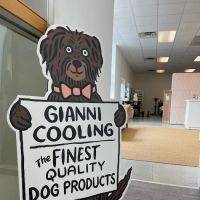 Gianni Cooling ico