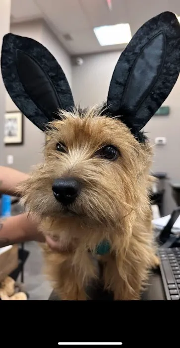 Hudson Animal Hospital Picture 1