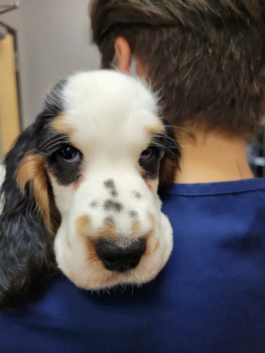 Hudson Animal Hospital Picture 5