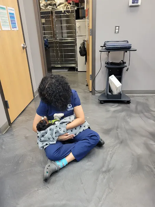 Hudson Animal Hospital Picture 7