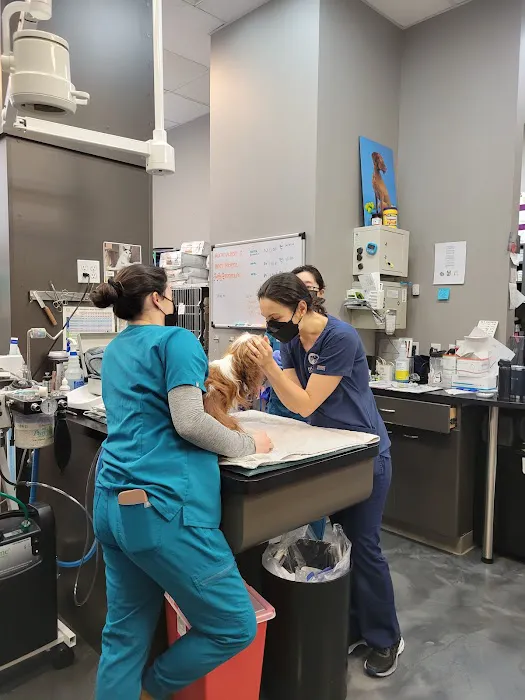 Hudson Animal Hospital Picture 9